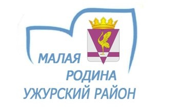 ЗАЩИТА ПРОЕКТОВ МАЛАЯ РОДИНА.